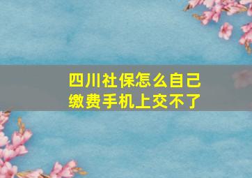 四川社保怎么自己缴费手机上交不了