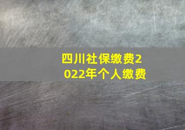 四川社保缴费2022年个人缴费