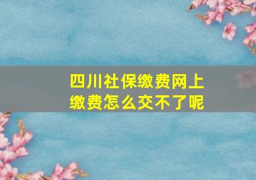 四川社保缴费网上缴费怎么交不了呢