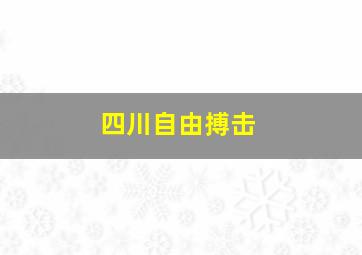 四川自由搏击