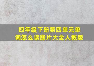 四年级下册第四单元单词怎么读图片大全人教版