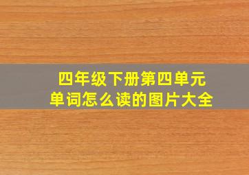 四年级下册第四单元单词怎么读的图片大全