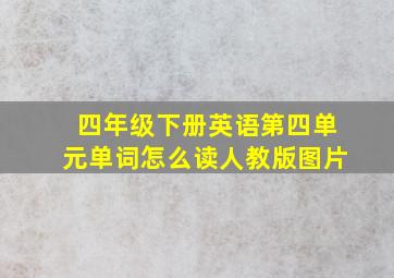 四年级下册英语第四单元单词怎么读人教版图片