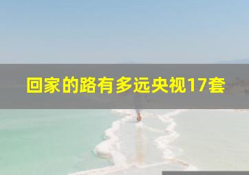 回家的路有多远央视17套