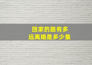 回家的路有多远离婚是多少集