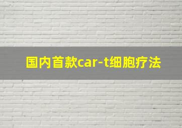 国内首款car-t细胞疗法