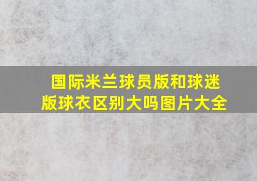 国际米兰球员版和球迷版球衣区别大吗图片大全