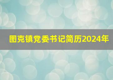 图克镇党委书记简历2024年