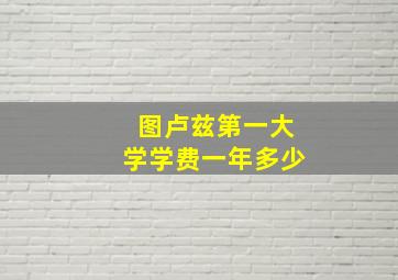 图卢兹第一大学学费一年多少