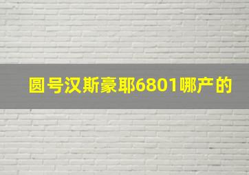 圆号汉斯豪耶6801哪产的