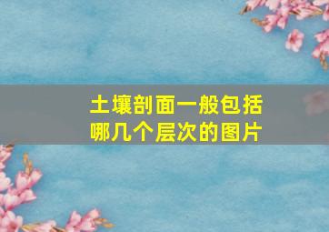 土壤剖面一般包括哪几个层次的图片