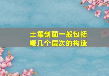 土壤剖面一般包括哪几个层次的构造