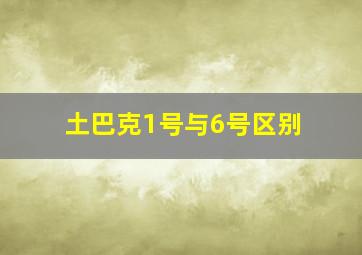 土巴克1号与6号区别