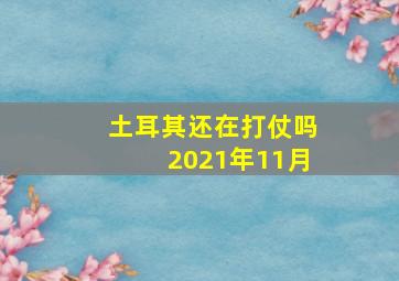 土耳其还在打仗吗2021年11月