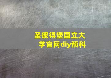 圣彼得堡国立大学官网diy预科