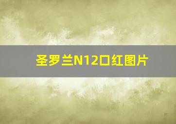 圣罗兰N12口红图片