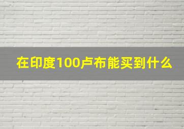 在印度100卢布能买到什么