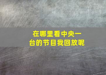 在哪里看中央一台的节目我回放呢