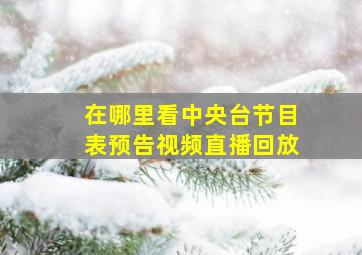 在哪里看中央台节目表预告视频直播回放