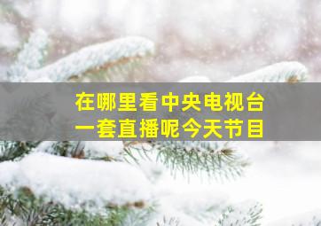 在哪里看中央电视台一套直播呢今天节目