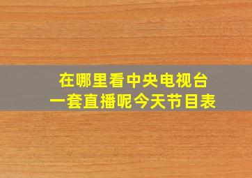 在哪里看中央电视台一套直播呢今天节目表