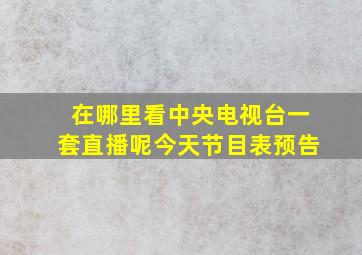 在哪里看中央电视台一套直播呢今天节目表预告