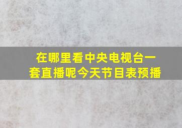 在哪里看中央电视台一套直播呢今天节目表预播