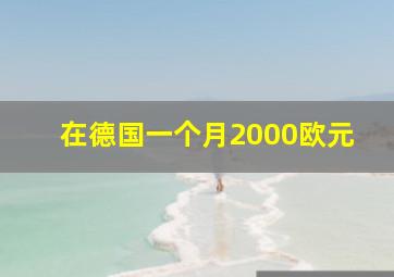 在德国一个月2000欧元