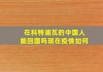 在科特迪瓦的中国人能回国吗现在疫情如何