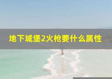 地下城堡2火枪要什么属性