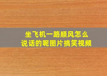 坐飞机一路顺风怎么说话的呢图片搞笑视频