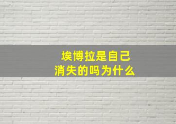 埃博拉是自己消失的吗为什么