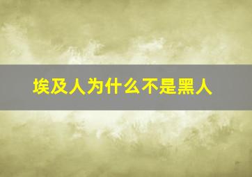 埃及人为什么不是黑人