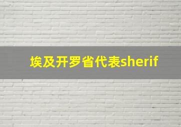 埃及开罗省代表sherif