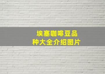 埃塞咖啡豆品种大全介绍图片