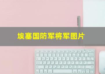 埃塞国防军将军图片