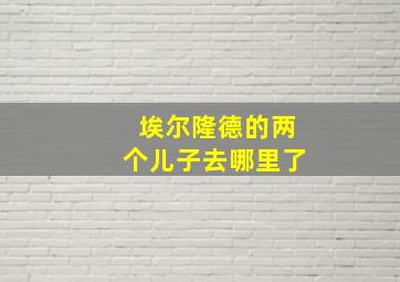 埃尔隆德的两个儿子去哪里了