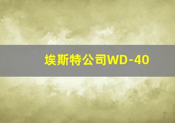 埃斯特公司WD-40