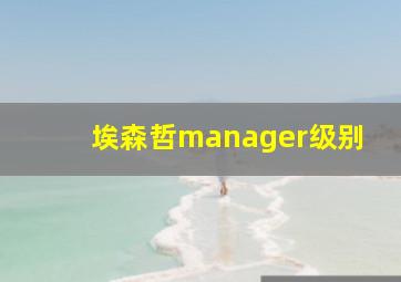 埃森哲manager级别