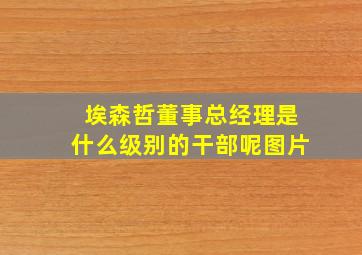 埃森哲董事总经理是什么级别的干部呢图片