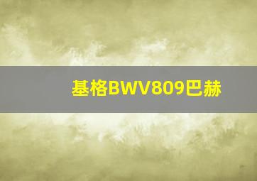 基格BWV809巴赫