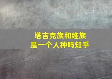 塔吉克族和维族是一个人种吗知乎