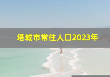 塔城市常住人口2023年