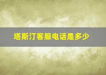 塔斯汀客服电话是多少