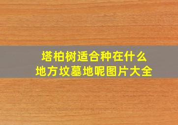 塔柏树适合种在什么地方坟墓地呢图片大全