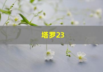 塔罗23