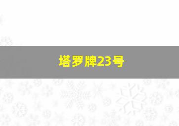 塔罗牌23号