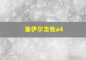 塞伊尔吉他a4