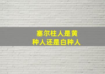 塞尔柱人是黄种人还是白种人