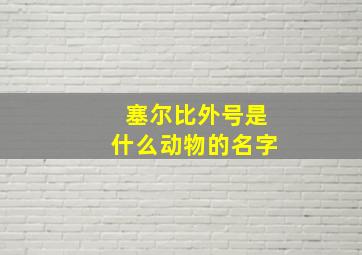 塞尔比外号是什么动物的名字